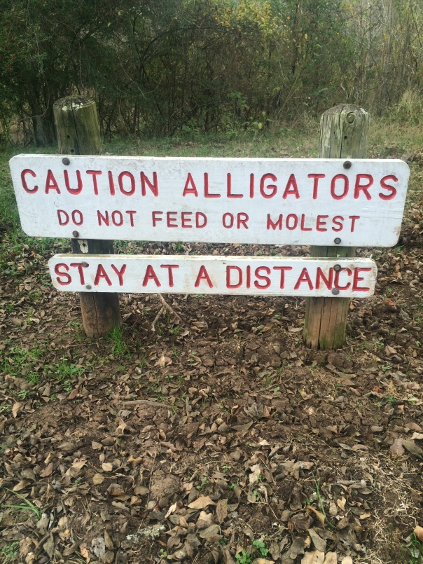Molesting Alligators?  This sign only exists for one reason!